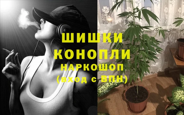 прущие крисы Абаза