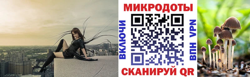 Псилоцибиновые грибы мицелий Абдулино